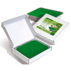 HOLIDAY Parafin EUCALYPTUS 1000 ml