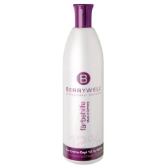 BERRYWELL FÄRBE Hilfe oxide cream 12 % 1000 ml